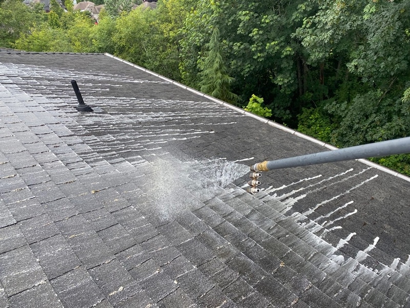 The place Can You discover Free Langley Roof Cleaning Resources